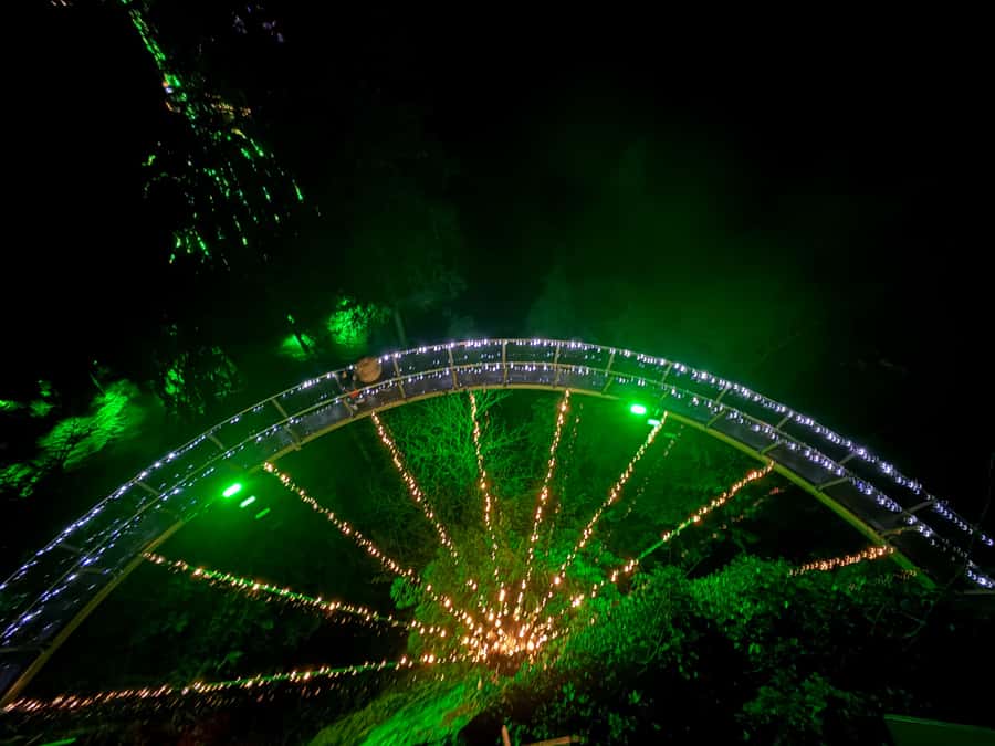 Capilano Suspension Bridge/Private/Small Group/By LUX CAR - Lions Gate Bridge crossing: the quick wow before Capilano