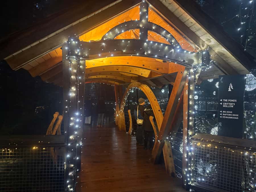 Capilano Suspension Bridge/Private/Small Group/By LUX CAR - Treetops Adventure and Cliffwalk: treetop height plus granite edge views