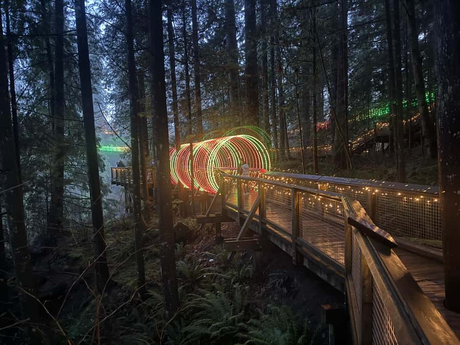 Capilano Suspension Bridge/Private/Small Group/By LUX CAR - Kia’palano, Story Centre, Eagle Eye, Raptors, and the Trading Post