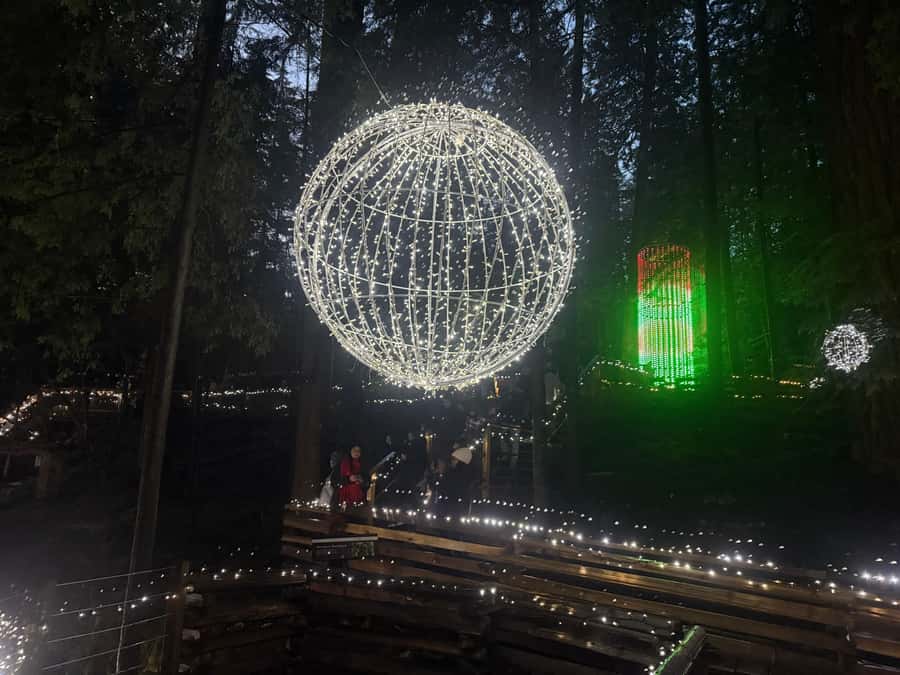 Capilano Suspension Bridge/Private/Small Group/By LUX CAR - The guide, the group size, and how long 2.5 hours really feels
