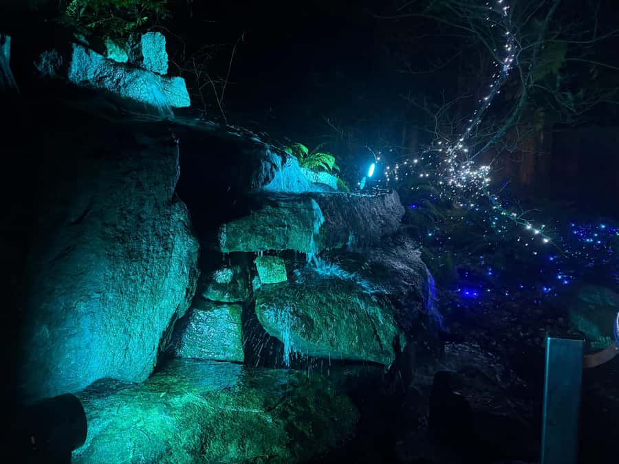 Capilano Suspension Bridge/Private/Small Group/By LUX CAR - Pickup, skip-the-line access, and what to watch for