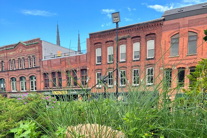 Charlottetown Walking Tour - Rochford Square: shipwrecks, ghost stories, hangings, and a bog’s history