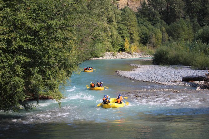 Cheakamus Family Adventure - Key Highlights You Should Know
