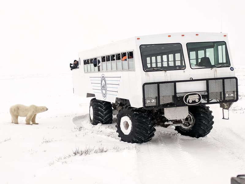 Churchill: Exclusive Tundra Buggy Day Trip - Key things you should know before you go