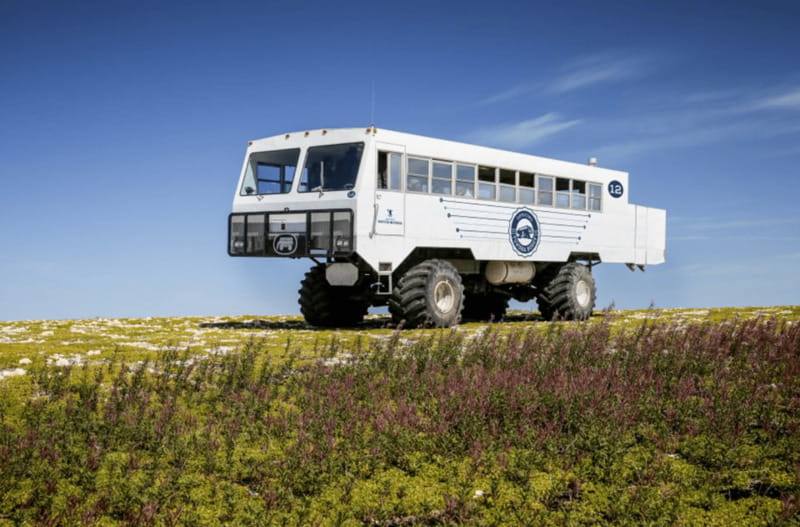 Churchill: Exclusive Tundra Buggy Day Trip - Price and value: what you’re really paying for