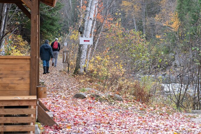 City tour and hiking to the Canyon and Waterfall in the Park - Should you book this Saguenay city and waterfall tour?