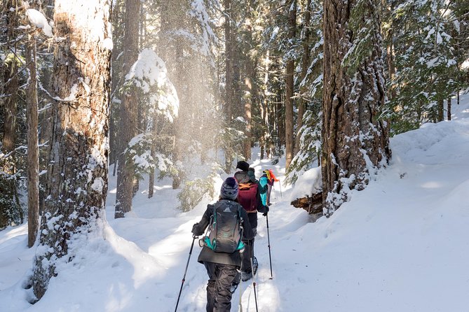 Coast Mountain Backcountry Snowshoe Tours - Key things I’d pay attention to