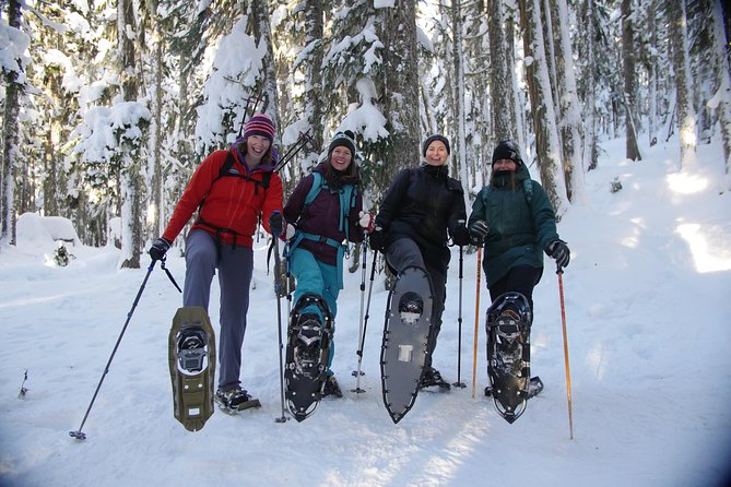Coast Mountain Backcountry Snowshoe Tours - The Guide Makes It Work, Including With Kids