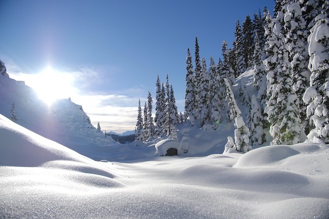 Coast Mountain Backcountry Snowshoe Tours - What’s Included, What’s Not, and the Real Value