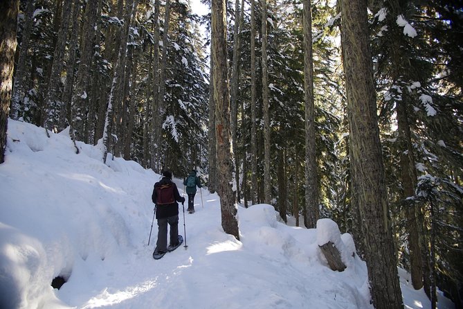 Coast Mountain Backcountry Snowshoe Tours - Gear and Clothing Tips for a Full Winter Day