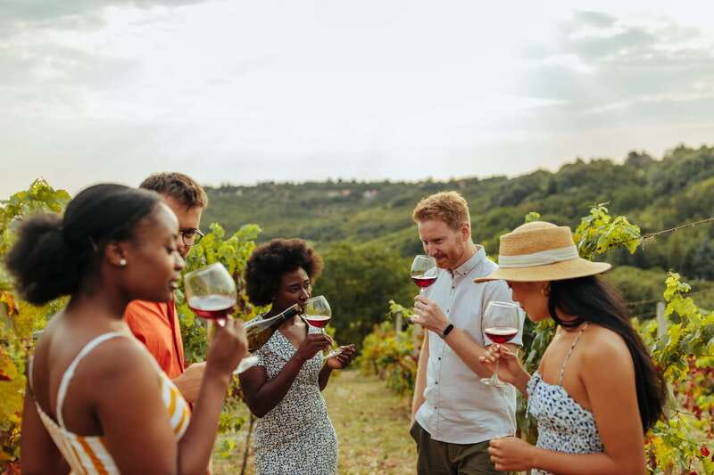 Collingwood: Blue Mountains Wine and Cider Tasting Tour - Key highlights at a glance