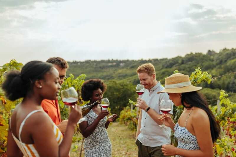 Collingwood: Blue Mountains Wine and Cider Tasting Tour - Small-group touring that does not feel cramped