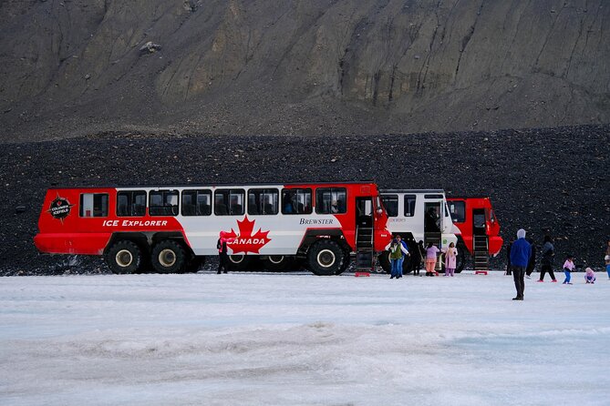 Columbia Icefield Adventure,Bow Lake,Peyto Lake in Banff & Jasper - Key highlights worth your attention
