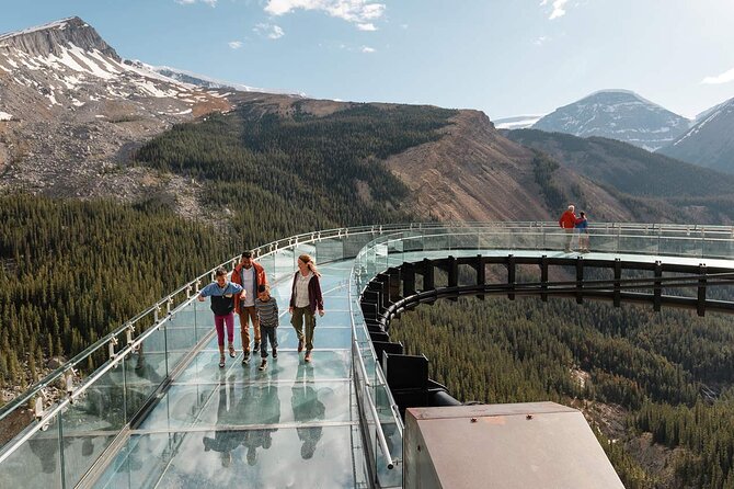 Columbia Icefield Adventure,Bow Lake,Peyto Lake in Banff & Jasper - Crowfoot Glacier, Bow Lake Views, and the Icefields Parkway Lookout Style