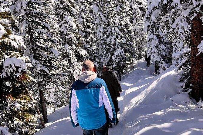 Columbia Icefield, Crowfoot Glacier and Bow ,Peyto Lake Tour - Peyto Lake trail: getting the iconic wolf-shaped view
