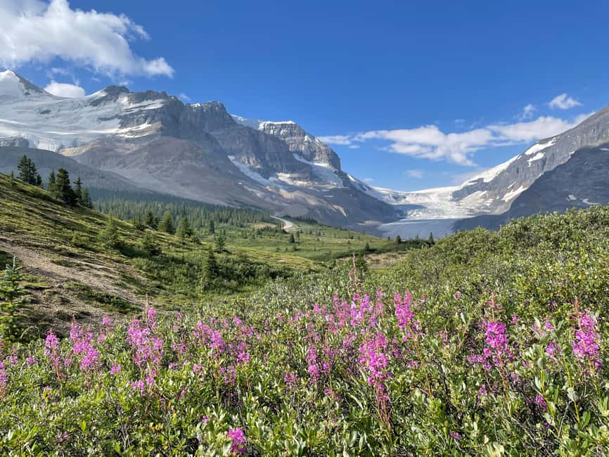 Columbia Icefield: Guided Glacier Hike - Key highlights worth your attention