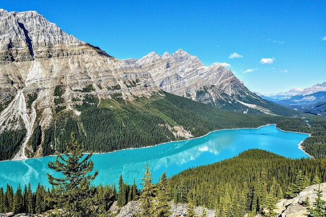 Columbia Icefield,Peyto Lake,Bow Lake Day Trip from Banff/Calgary - Fairmont Banff Springs Mountain Galleries and The Crossing lunch break