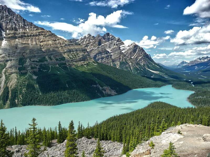 Columbia Icefield, Peyto Lake, Bow Lake Discovery Tour - Peyto Lake viewpoint hike (30 minutes): the photo spot with personality