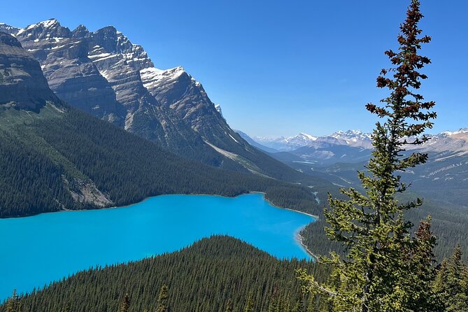 Columbia Icefield Peyto Lake Bow Lake from Calgary Canmore Banff - Make the Long Drive Work: Timing, Bathrooms, Socks, and Cash