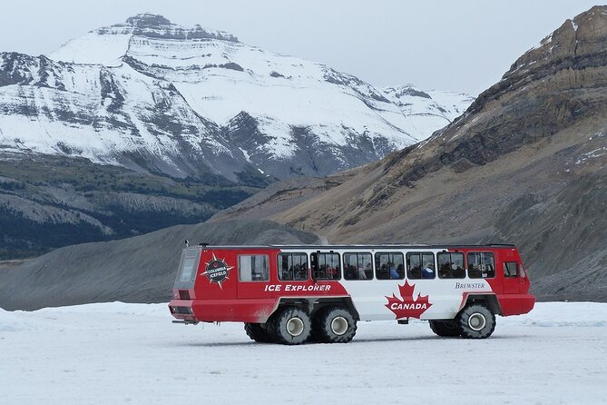 Columbia Icefield Peyto Lake Bow Lake from Calgary Canmore Banff - Should You Book This Calgary to Icefields Day Trip?