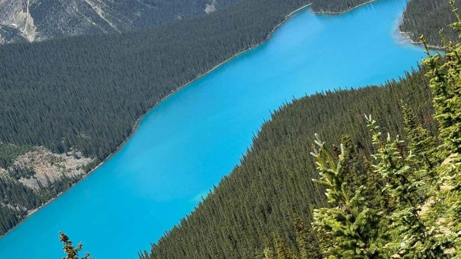 Columbia Icefield, Skywalk, Crowfoot Glacier, and Lakes Tour - Johnston Canyon Lower and Upper Falls, and the Workload Check