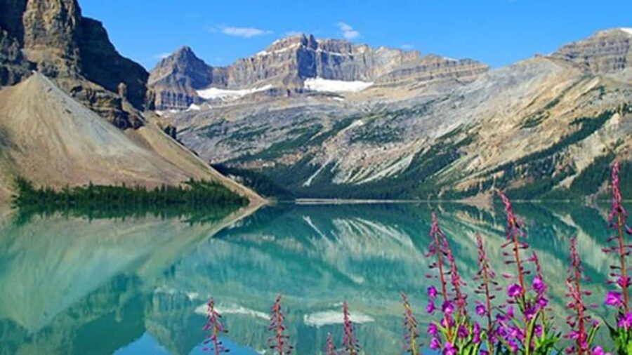 Columbia Icefield, Skywalk, Crowfoot Glacier, and Lakes Tour - Peyto Lake Viewpoint and Why the Color Is So Intense