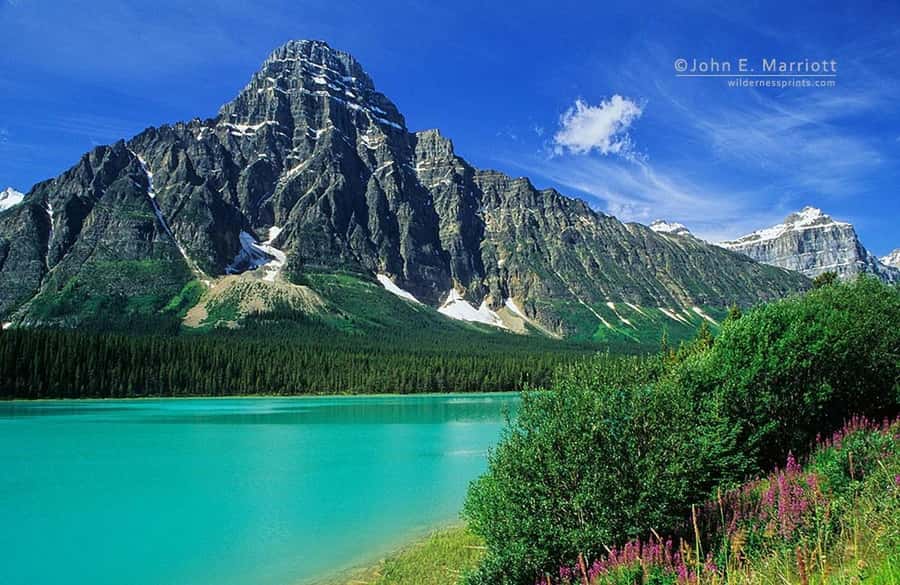 Columbia icefield, Skywalk, Waterfowl, Bow & Peyto Lake Tour - The big picture: what this 12-hour day is really for