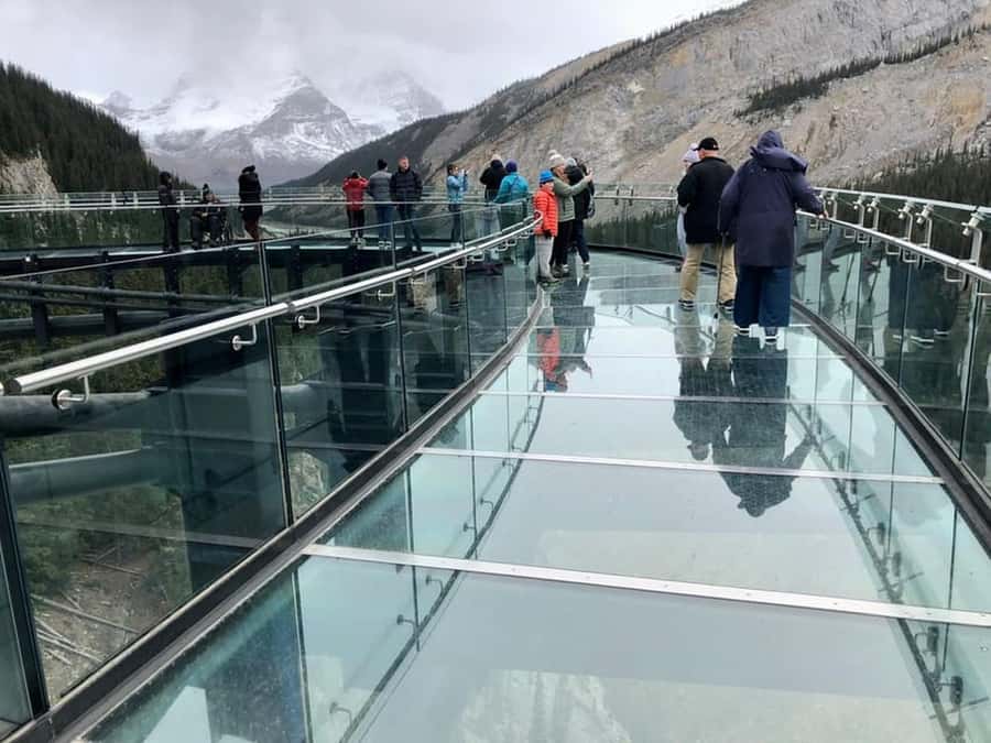 Columbia icefield, Skywalk, Waterfowl, Bow & Peyto Lake Tour - Bow Lake and Glacier Lake: calmer scenery breaks up the intensity