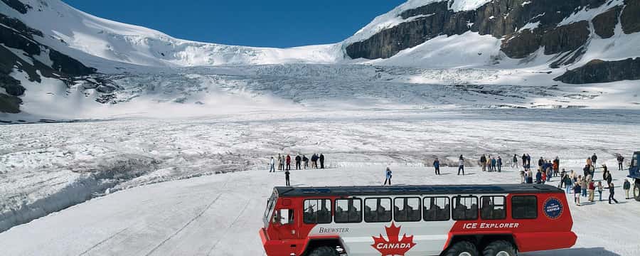 Columbia icefield, Skywalk, Waterfowl, Bow & Peyto Lake Tour - Getting on the road: pickup times and how the day starts