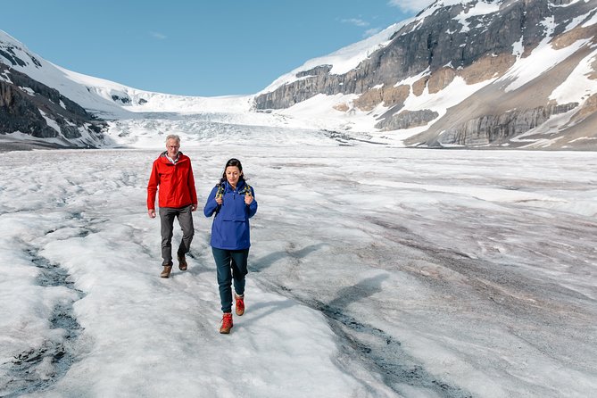 Columbia Icefield Tour with Glacier Skywalk from Calgary - Lake Louise, Peyto, Crowfoot, Big Hill: quick hits that still pay off