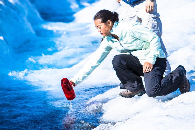 Columbia Icefield Tour with Glacier Skywalk from Calgary - Price and value at about $407.70 per person