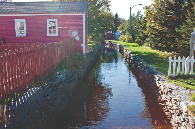 Conception Bay Tour Experience - Brigus: a short town stop with colorful harbor charm