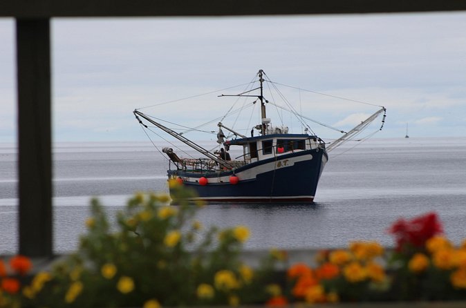 Conception Bay Tour Experience - Cupids: your longest stop, and the big historical anchor