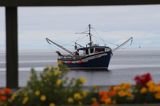 Conception Bay Tour Experience - Holyrood Boardwalk: quick scenic walking with coast-and-wildlife energy