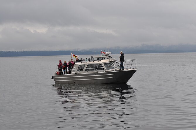 Covered Boat Whale Watching 4-Hour Tour from Campbell River - The cruise itself: what you can expect during the 4 hours