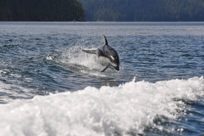 Covered Boat Whale Watching 6-Hour Tour from Campbell River - Route Highlights: The Cape Mudge Lighthouse on Quadra Island