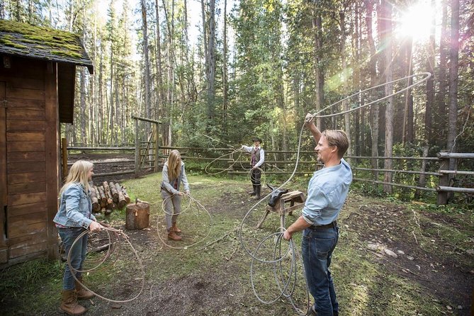 Covered Wagon Ride in Banff with Western Cookout - Horses, but not horseback: what the ranch theme really means