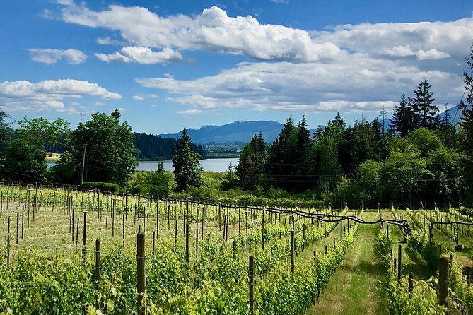 Cowichan Valley Premium Wine Tour - Key highlights you can plan around
