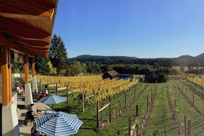 Cowichan Valley Premium Wine Tour - A 6-hour Cowichan Valley wine day from Victoria in a Tesla
