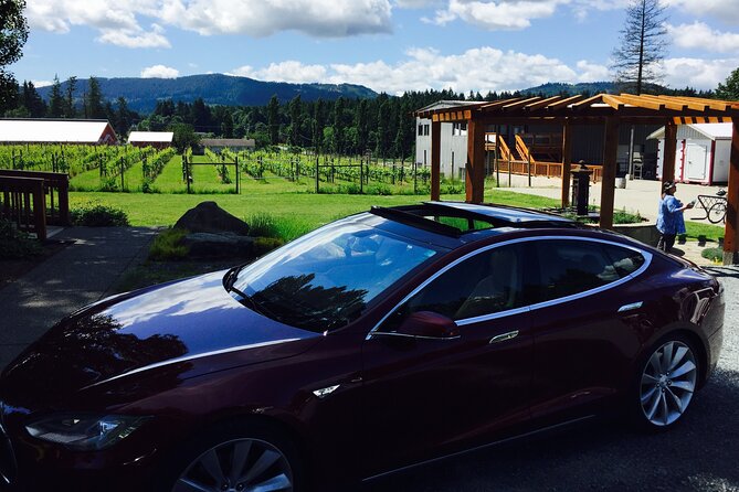 Cowichan Valley Premium Wine Tour - The second half: from Alderlea and Emandare to a well-finished flight