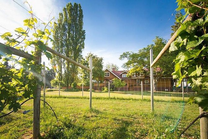 Cowichan Valley Premium Wine Tour - What you’ll taste: Pinot, local varietals, and more than just wine