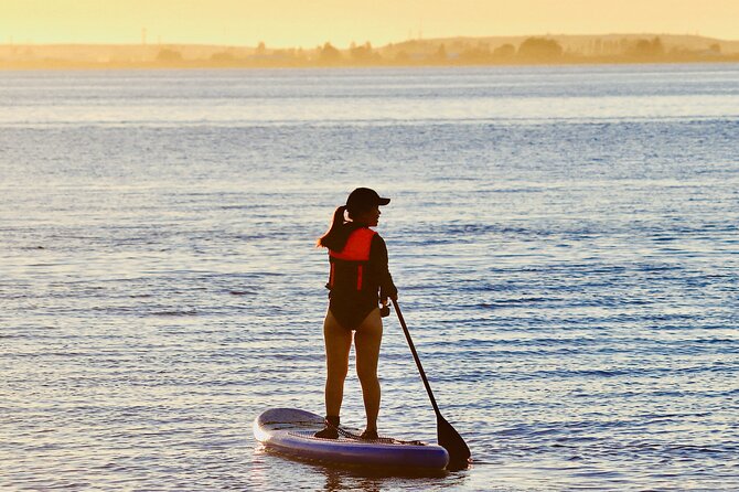 Daily SUP Paddleboard Rentals Package in Metro Vancouver - What You Really Get for About $33 in Metro Vancouver