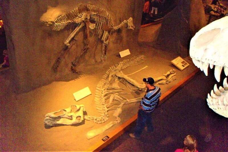 Day of Dinosaurs and Hoodoos From Calgary to the Badlands - Key things to love about this Drumheller Badlands day