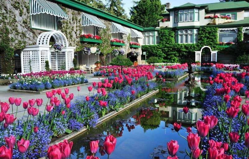 Day Trip from Vancouver to Victoria and Butchart Gardens - What to Bring and How to Plan Your Day Like a Pro