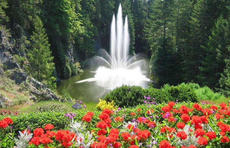 Day Trip from Vancouver to Victoria and Butchart Gardens - Vancouver Pickup to Tsawwassen Ferry Terminal: The Day Starts Early