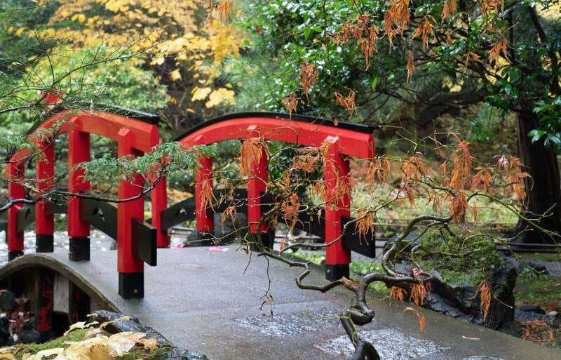 Day Trip from Vancouver to Victoria and Butchart Gardens - Royal BC Museum Stop: A Photo and Culture Breather