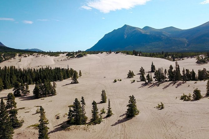 Day-Trip To Skagway - Gateway to the Klondike Goldrush - Whitehorse to Skagway: a long drive that still feels focused