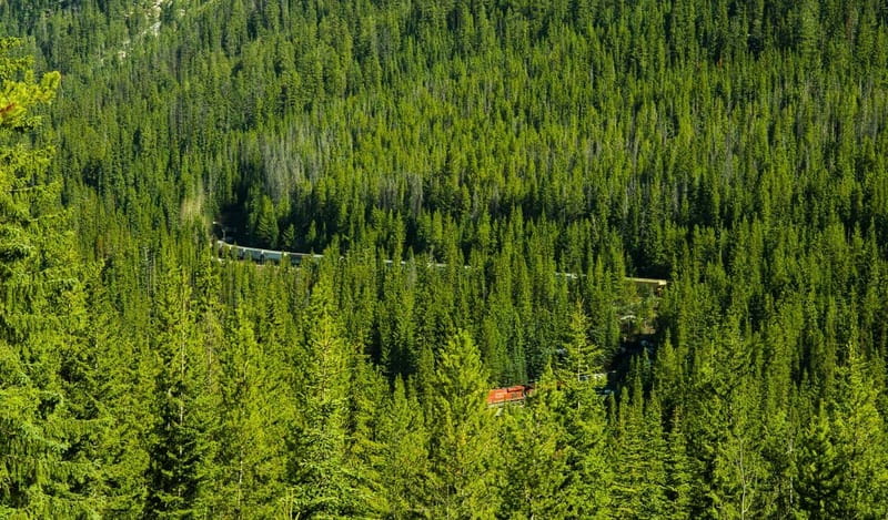 Deep Day Tour to Emerald, Moraine, Louise Lake, J. Canyon... - Planning Your Day Trip: Johnston Canyon, Lake Louise, Emerald Lake, and More