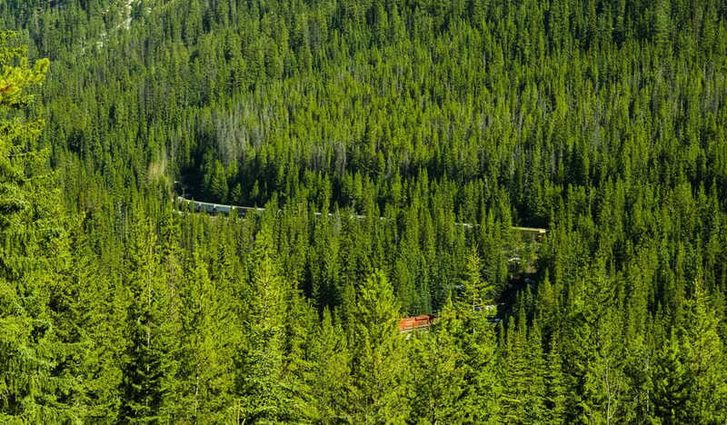 Deep Day Tour to Emerald, Moraine, Louise Lake, J. Canyon... - Emerald Lake Road: The Green Water and a Short Walk That Actually Helps