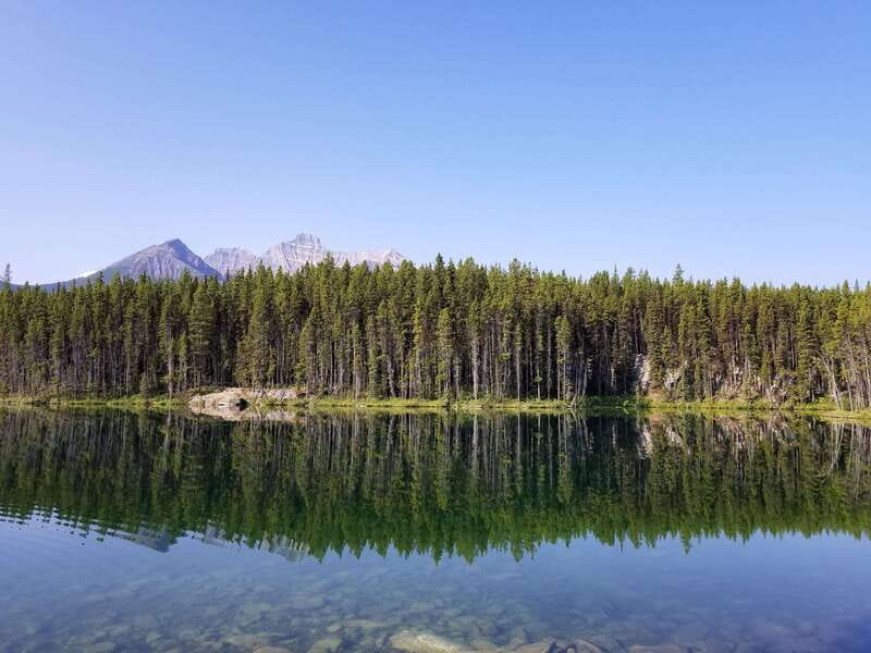 Deep Day Tour to Peyto, Moraine, Louise Lakes, J. Canyon... - Why this deep day tour feels worth the long drive